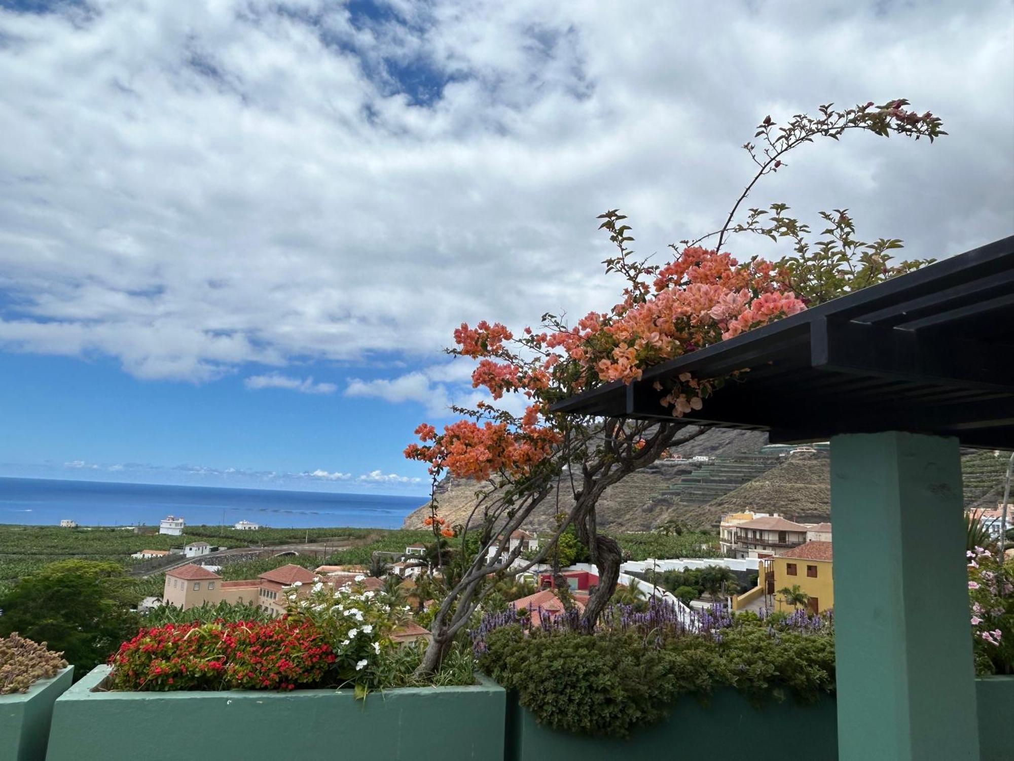 タサコルテLa Casita De Gio.アパートメント エクステリア 写真